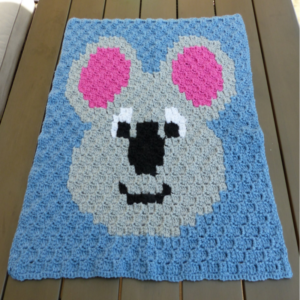 wasbeer deken 800x800